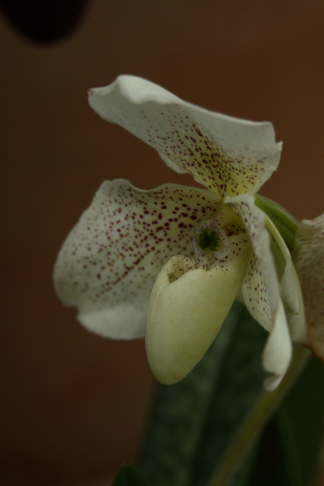 2014 04 20 HTP 44891