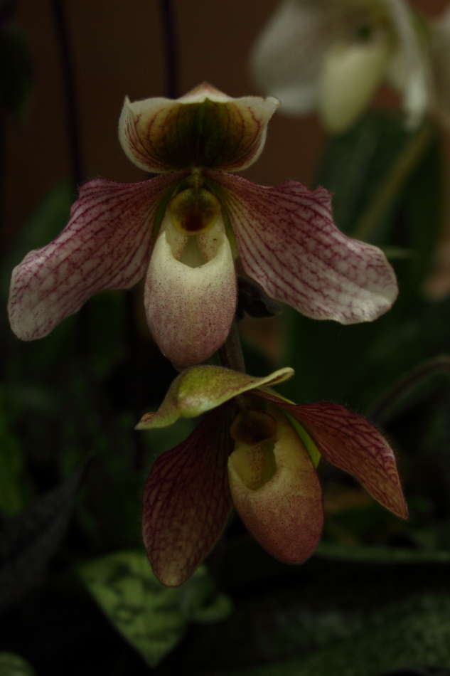2014 04 20 HTP 44897