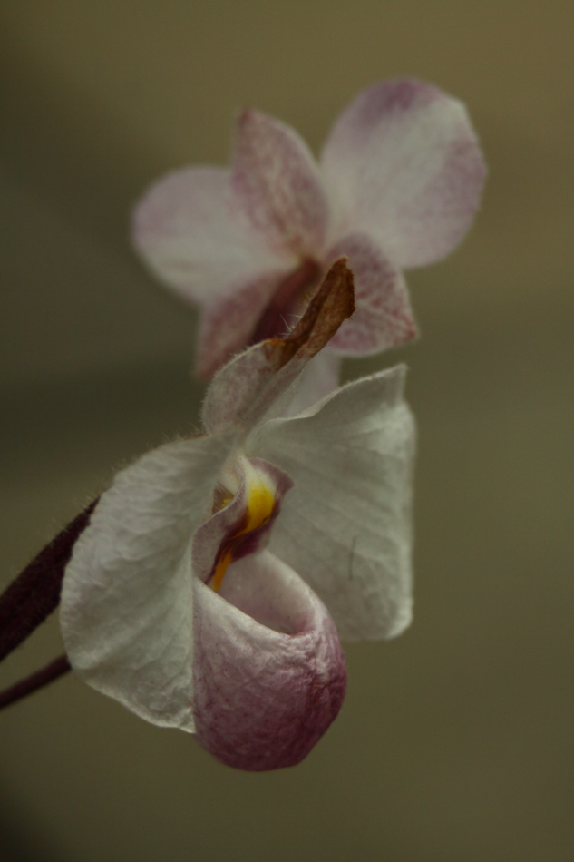 2014 04 20 HTP 44902
