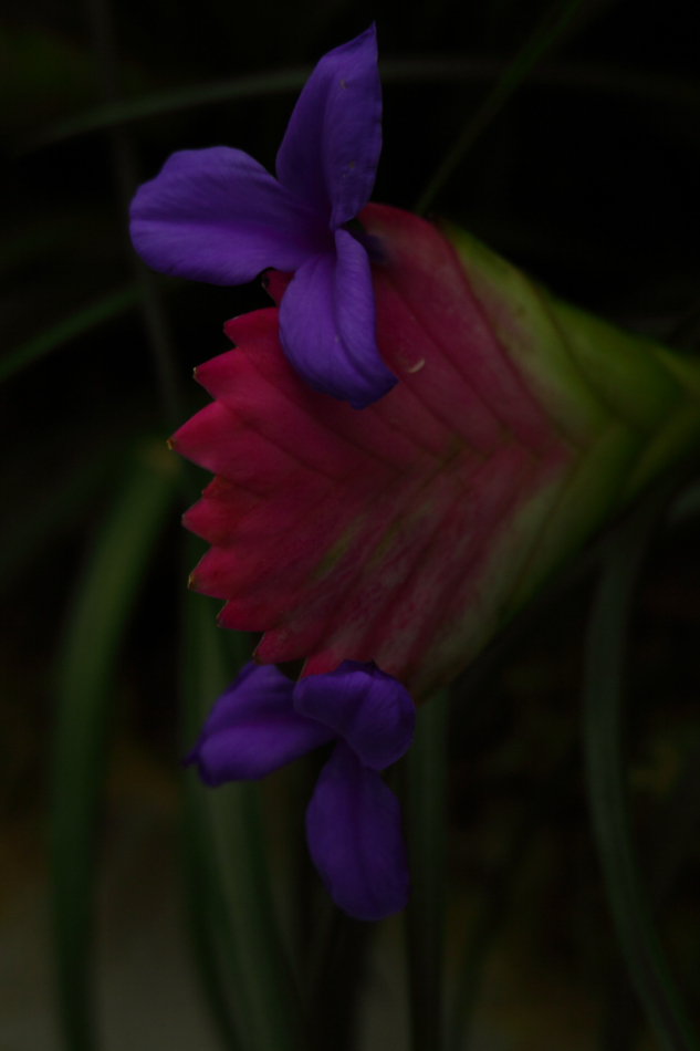 2014 04 20 HTP 44913
