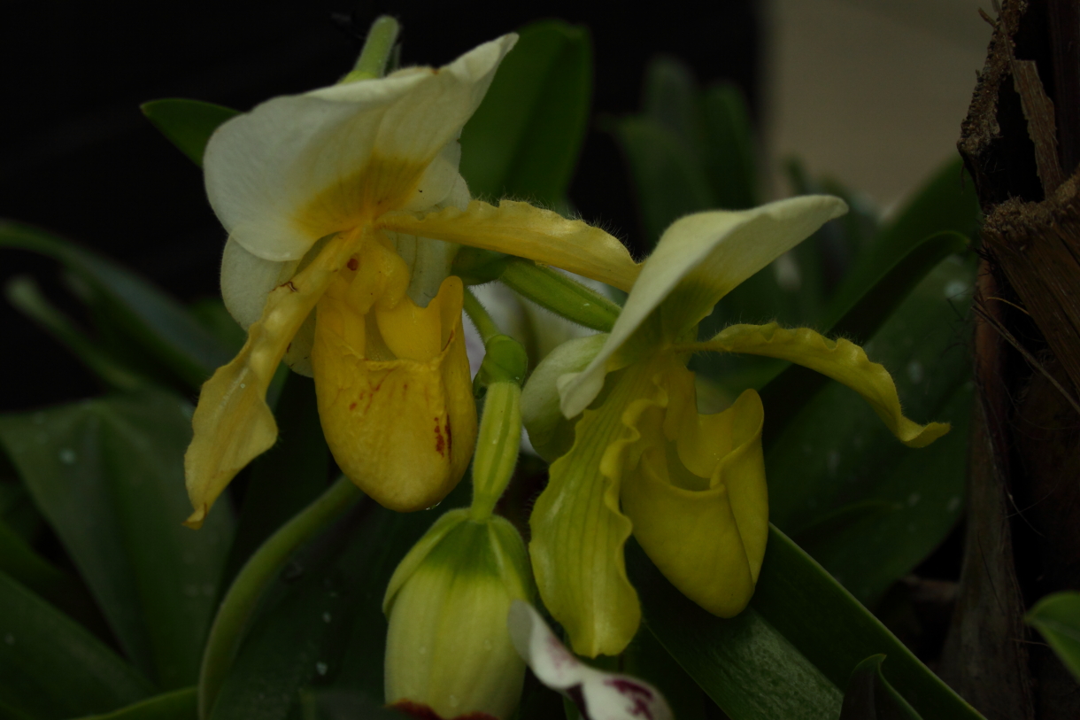 2014 04 20 HTP 44919