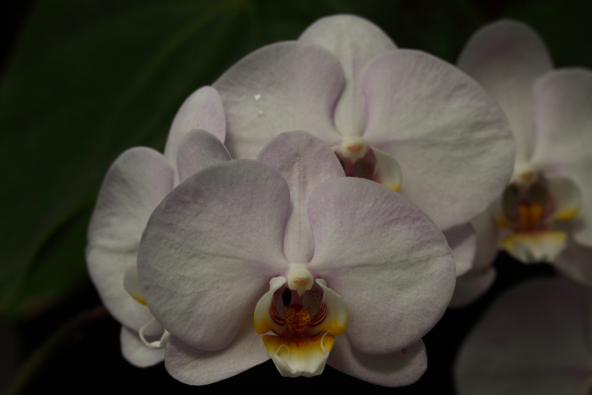 2014 04 20 HTP 44922