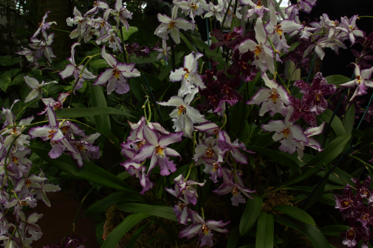 2014 04 20 HTP 44946