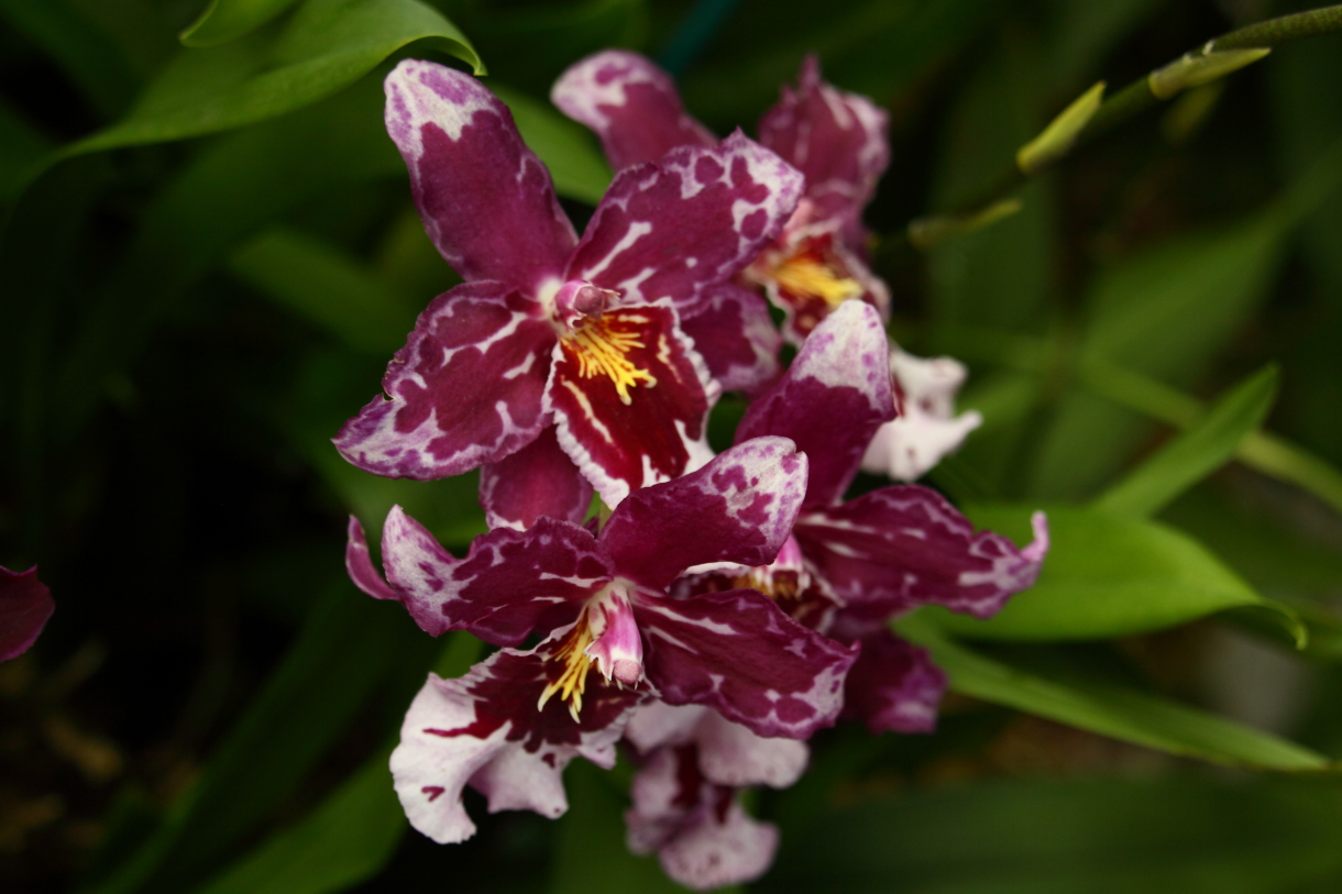 2014 04 20 HTP 44967