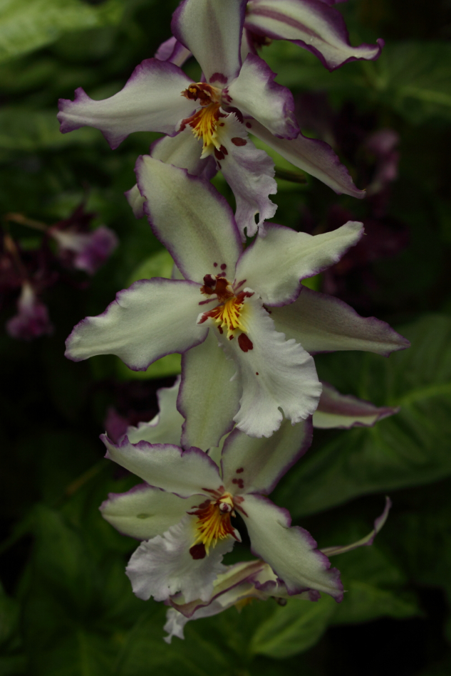 2014 04 20 HTP 44971