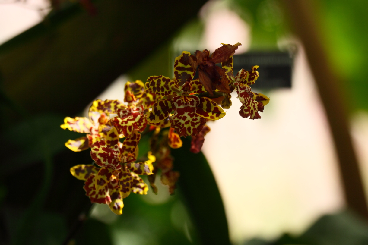 2014 04 20 HTP 45026