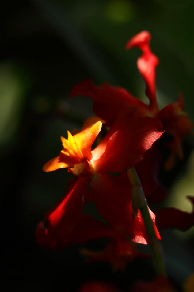 2014 04 20 HTP 45042
