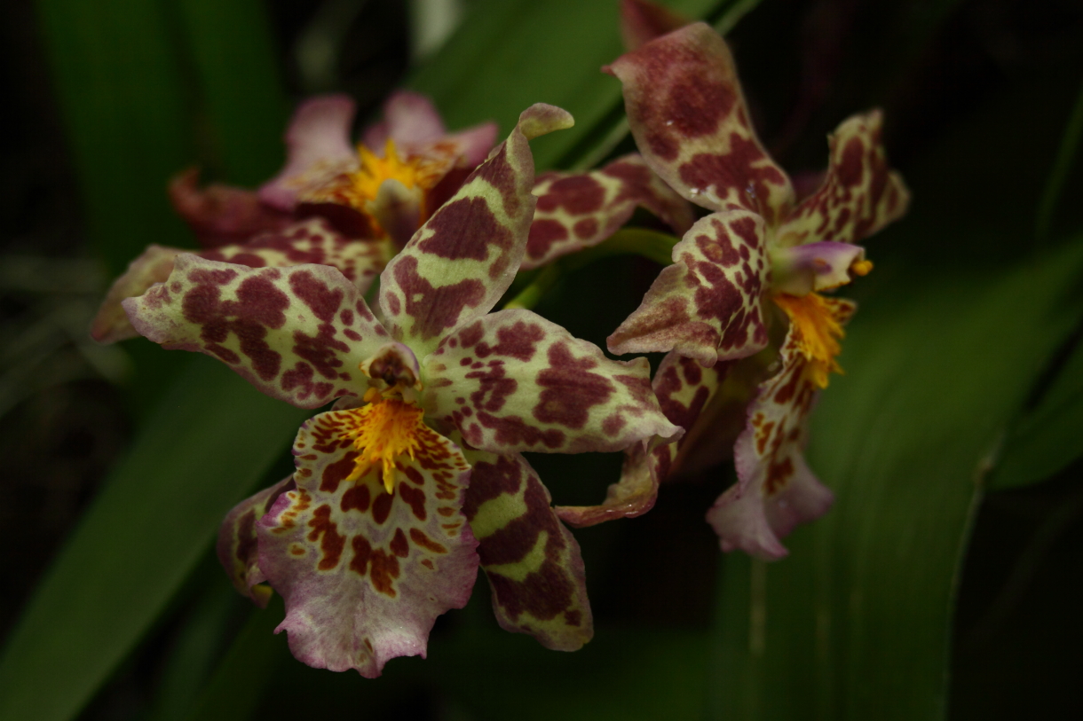 2014 04 20 HTP 45076