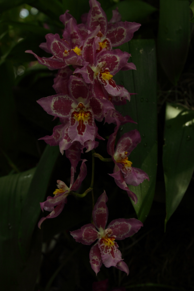 2014 04 20 HTP 45086
