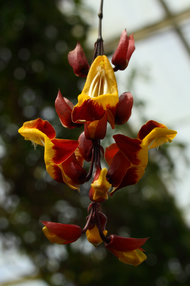 2014 04 20 HTP 45122