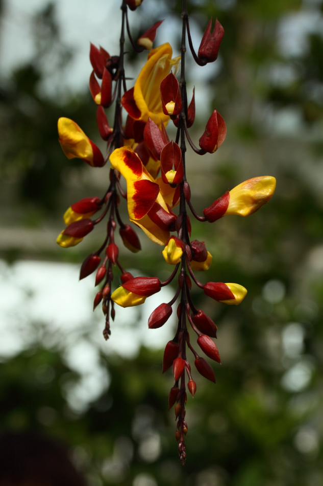 2014 04 20 HTP 45124