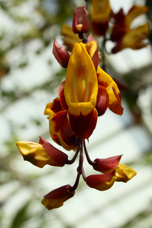 2014 04 20 HTP 45131