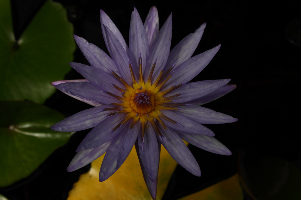 2014 04 20 HTP 45152
