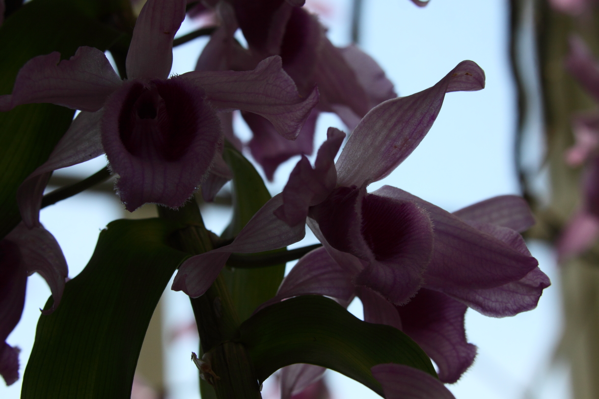 2014 04 20 HTP 45177