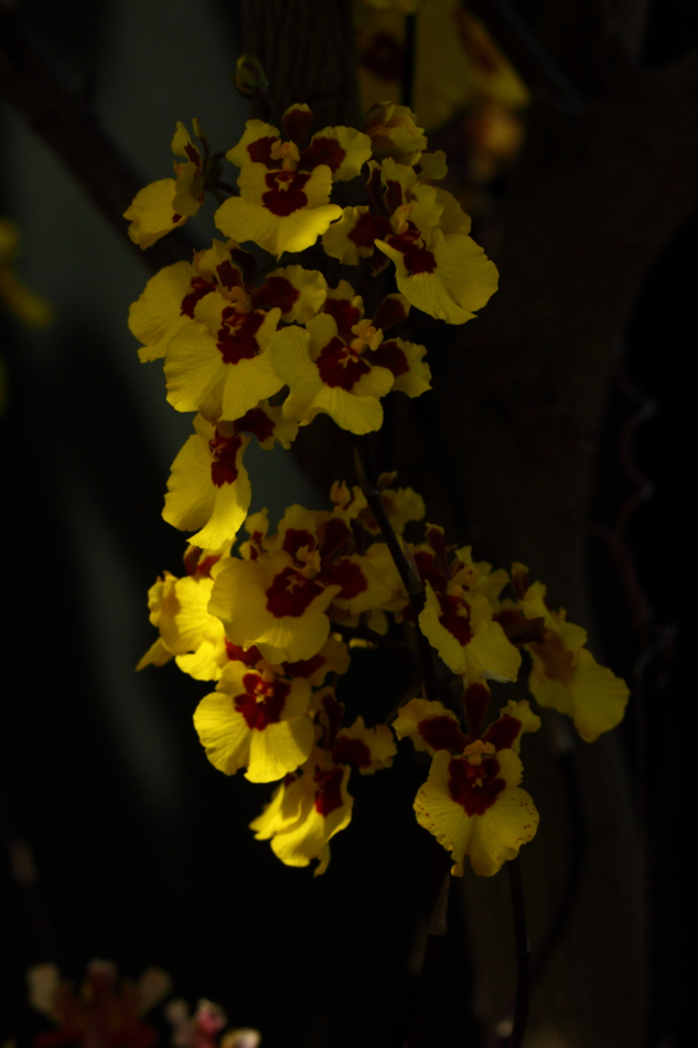 2014 04 20 HTP 45185