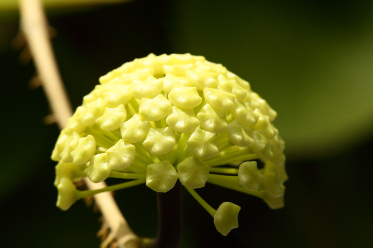 2014 04 20 HTP 45216