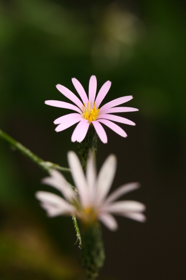 2014 04 20 HTP 45307
