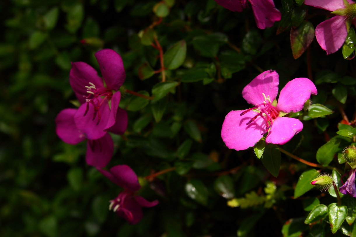 2014 04 20 HTP 45323