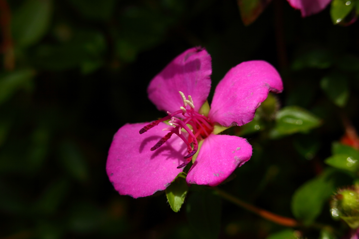2014 04 20 HTP 45327