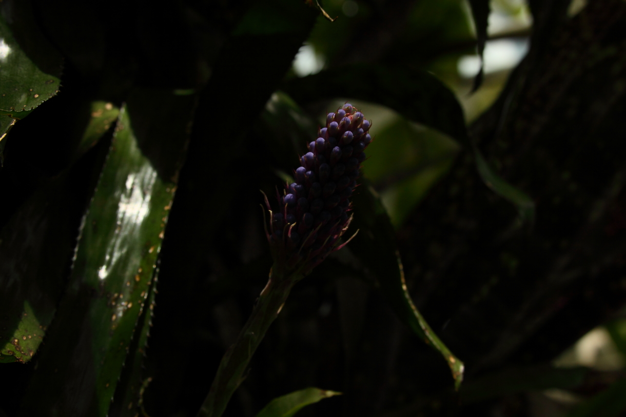2014 04 20 HTP 45333