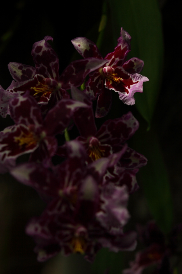 2014 04 20 HTP 45355
