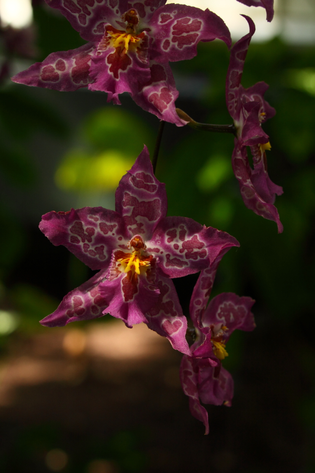2014 04 20 HTP 45358