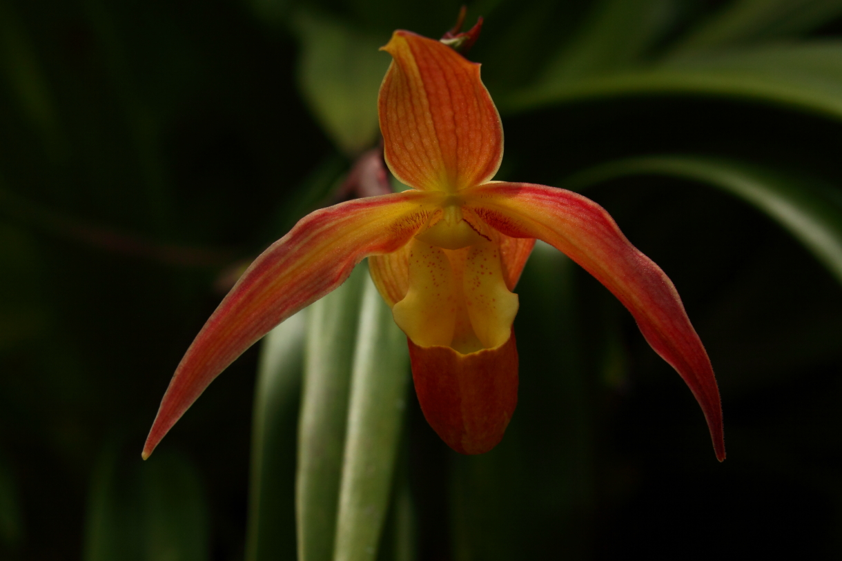 2014 04 20 HTP 45379