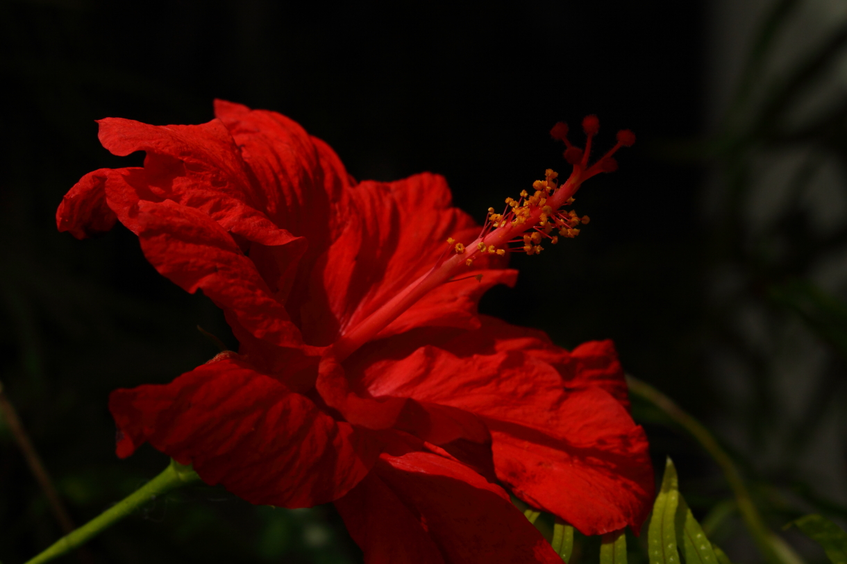 2014 04 20 HTP 45395