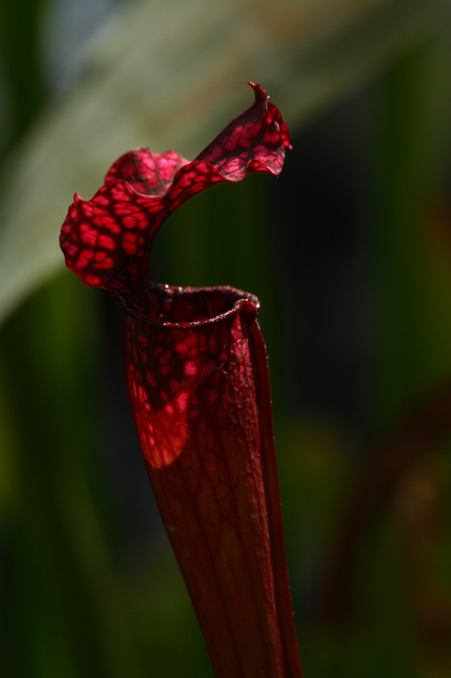 2014 04 20 HTP 45397