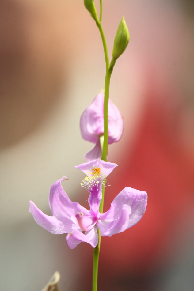 2014 04 20 HTP 45401