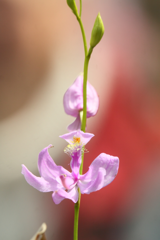 2014 04 20 HTP 45402