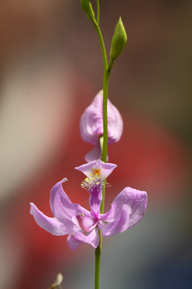 2014 04 20 HTP 45403