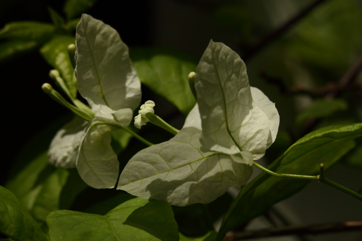 2014 04 20 HTP 45413