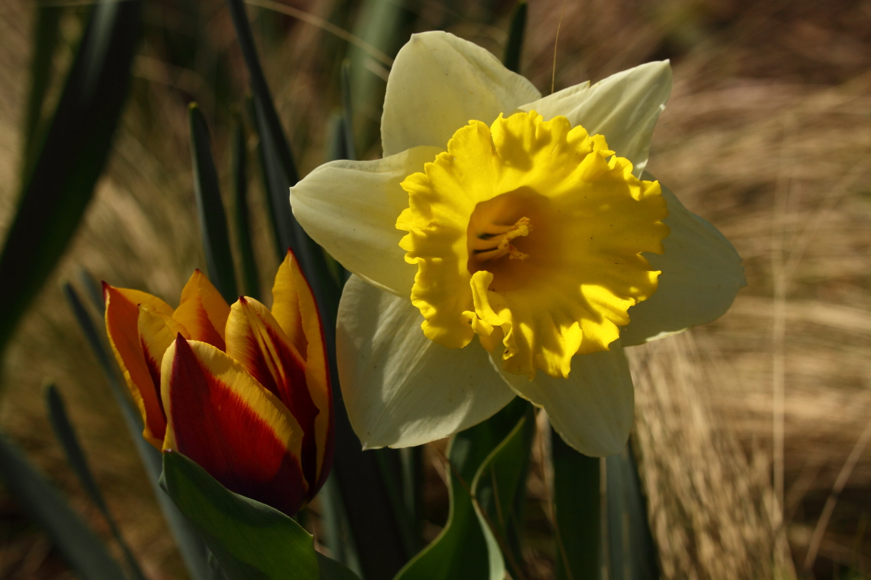 2014 04 20 HTP 45425