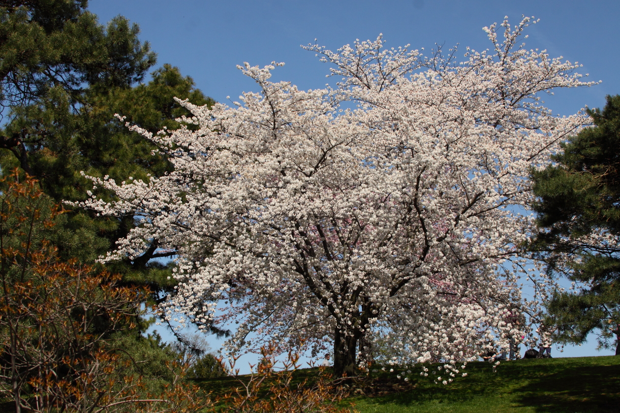 2014 04 20 HTP 45435
