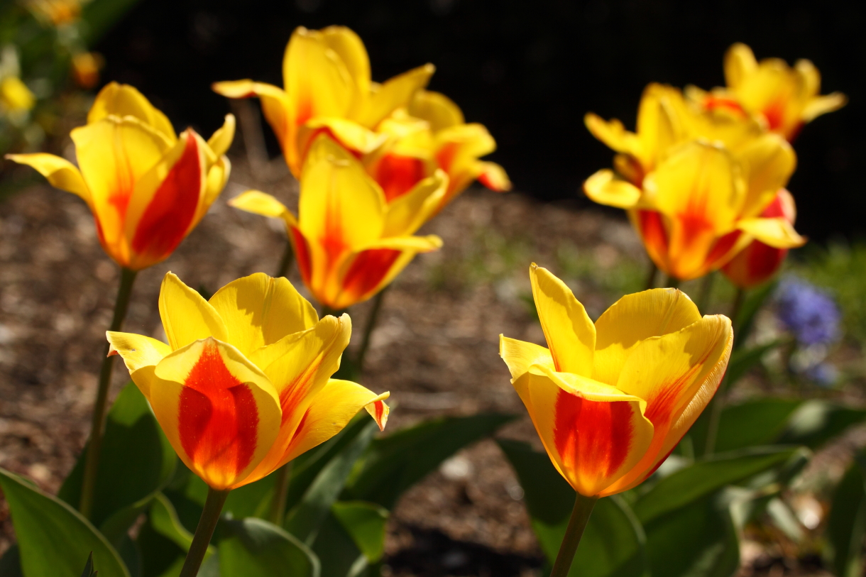 2014 04 20 HTP 45438