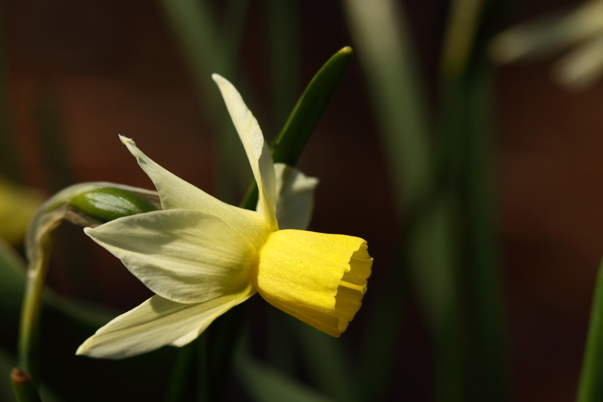 2014 04 20 HTP 45462