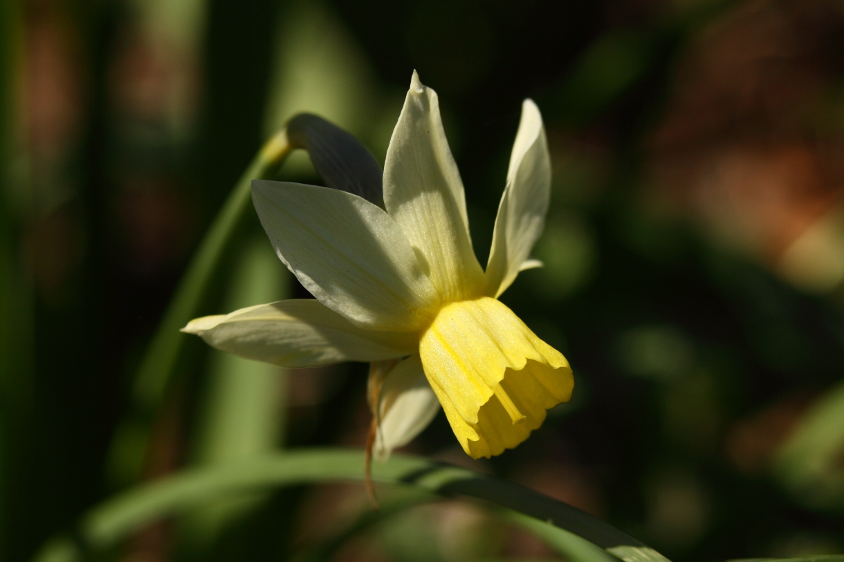 2014 04 20 HTP 45466