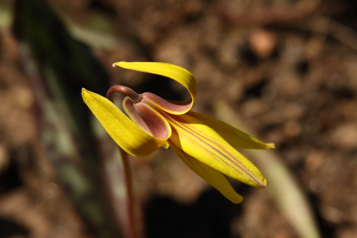 2014 04 20 HTP 45498