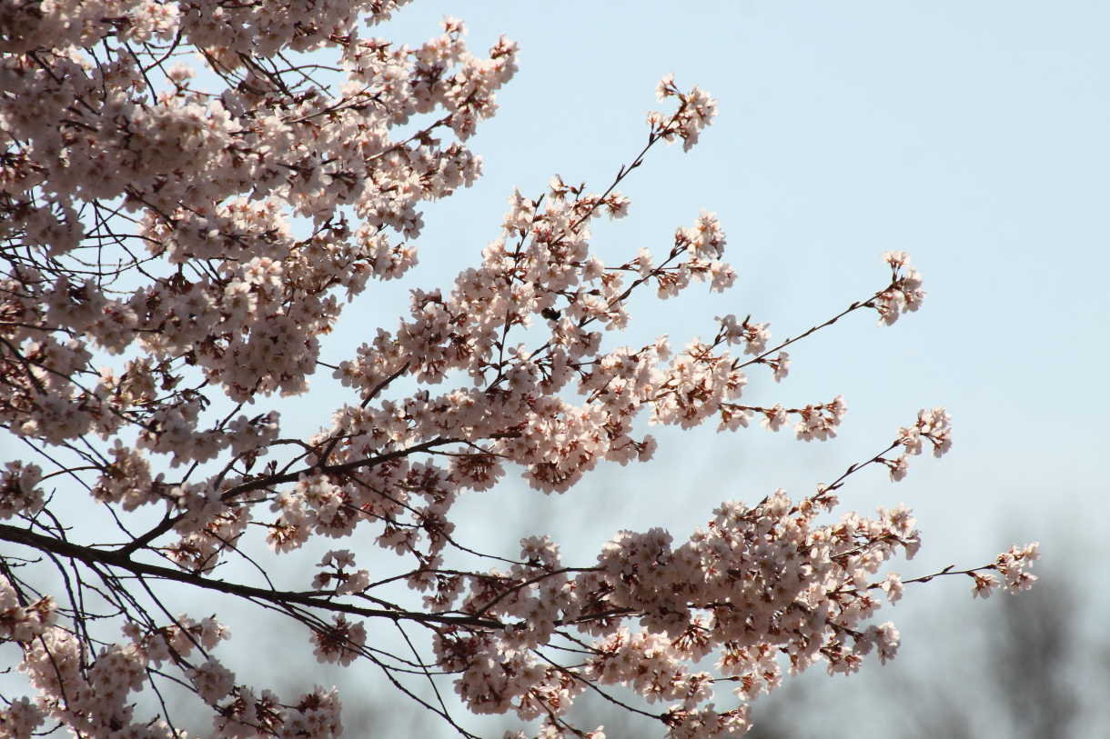 2014 04 20 HTP 45543