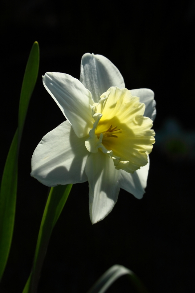 2014 04 20 HTP 45556e