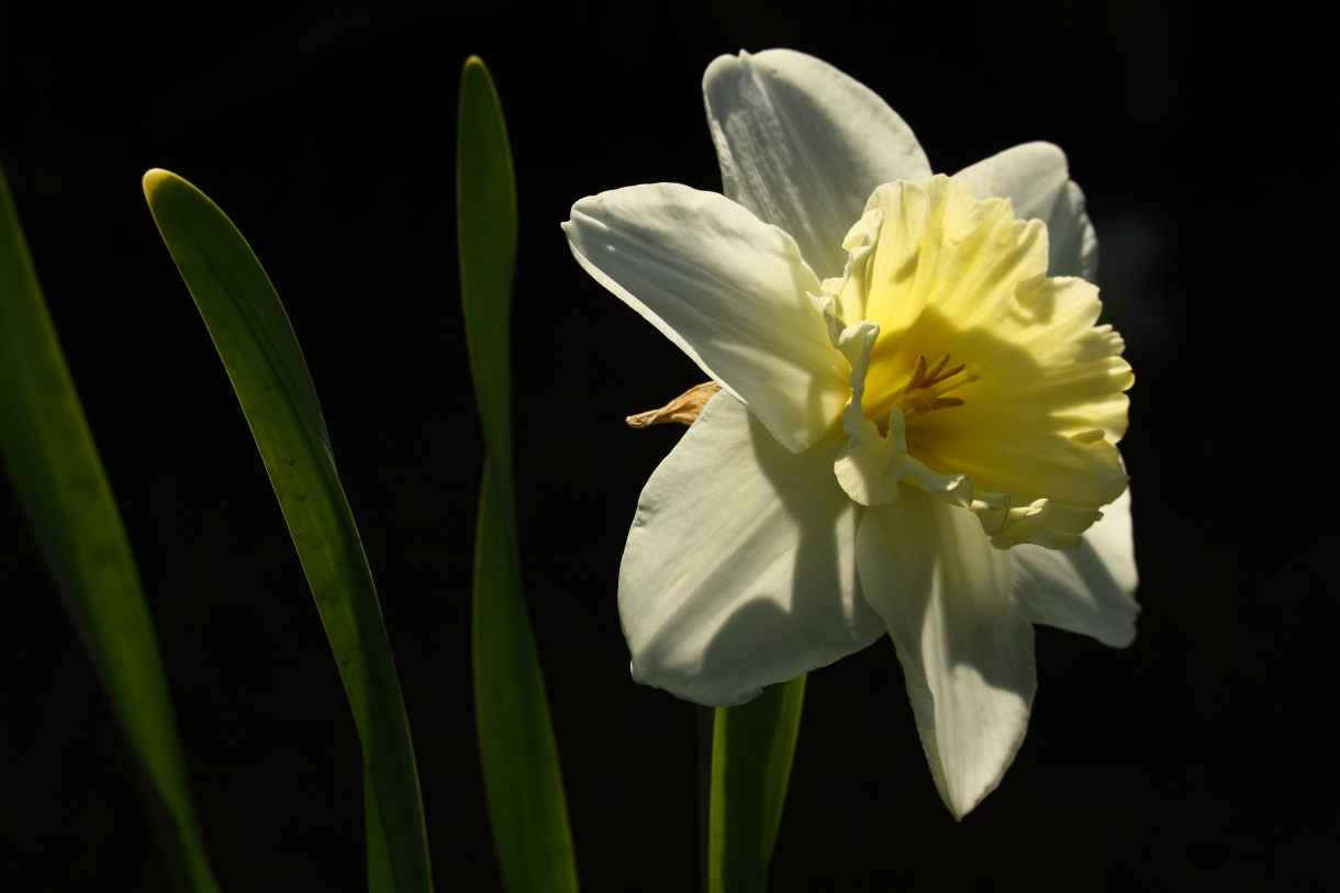 2014 04 20 HTP 45560