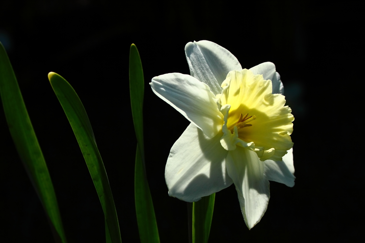 2014 04 20 HTP 45562e