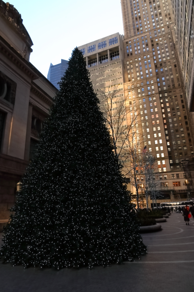 2023 12 14 HTP 51523e