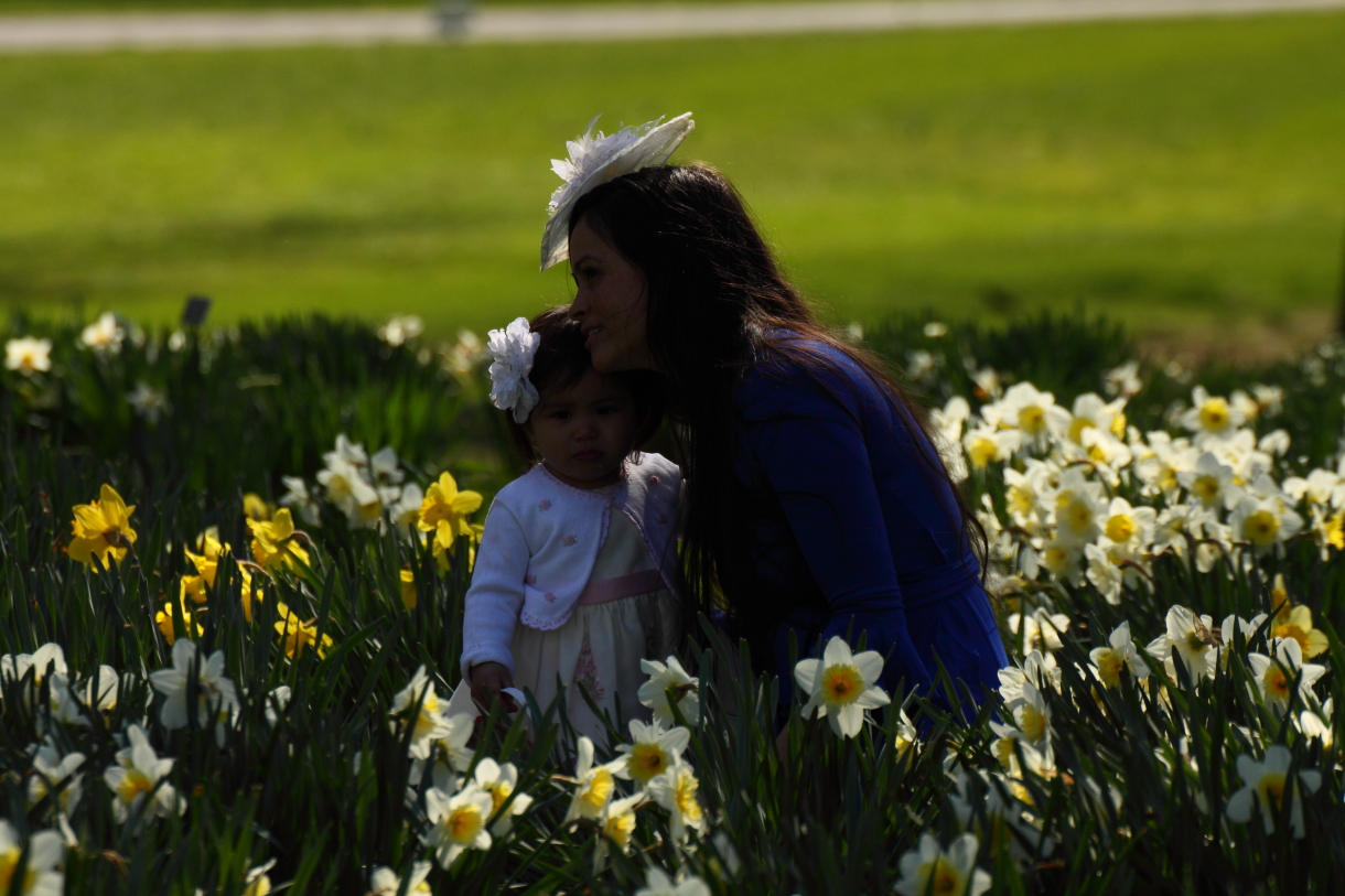 2014 04 20 HTP 45571