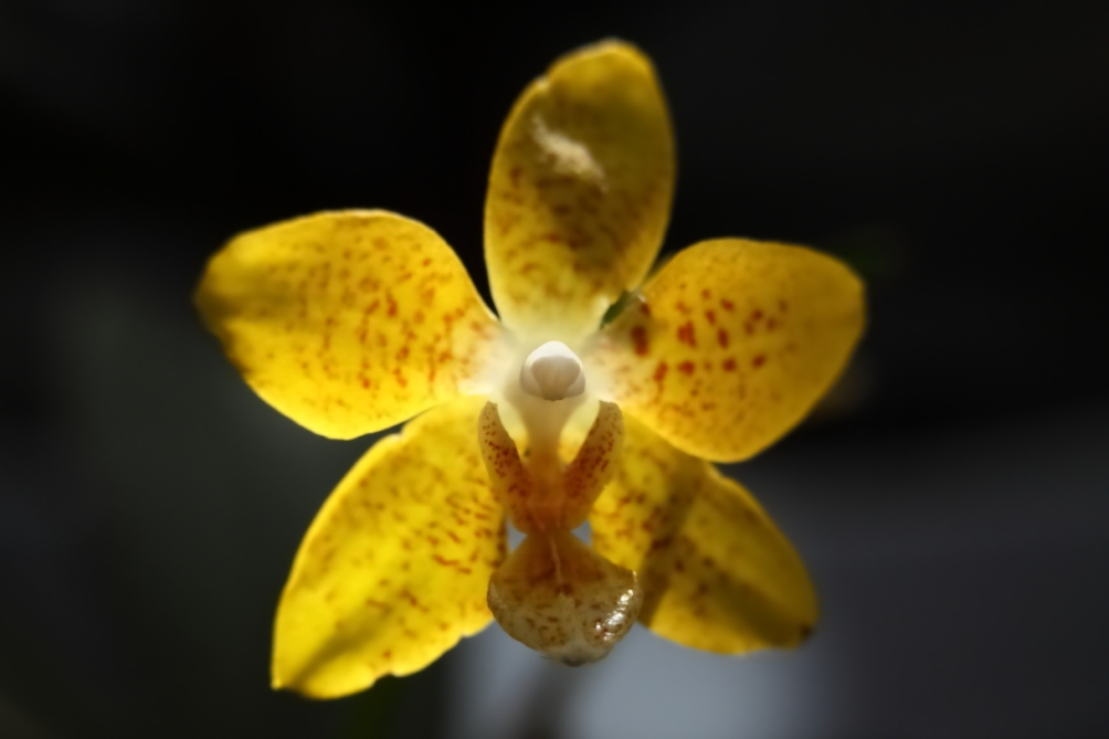 2014 03 06 HTP 37391
