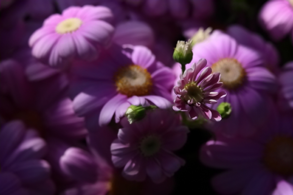 2014 03 21 HTP 39431
