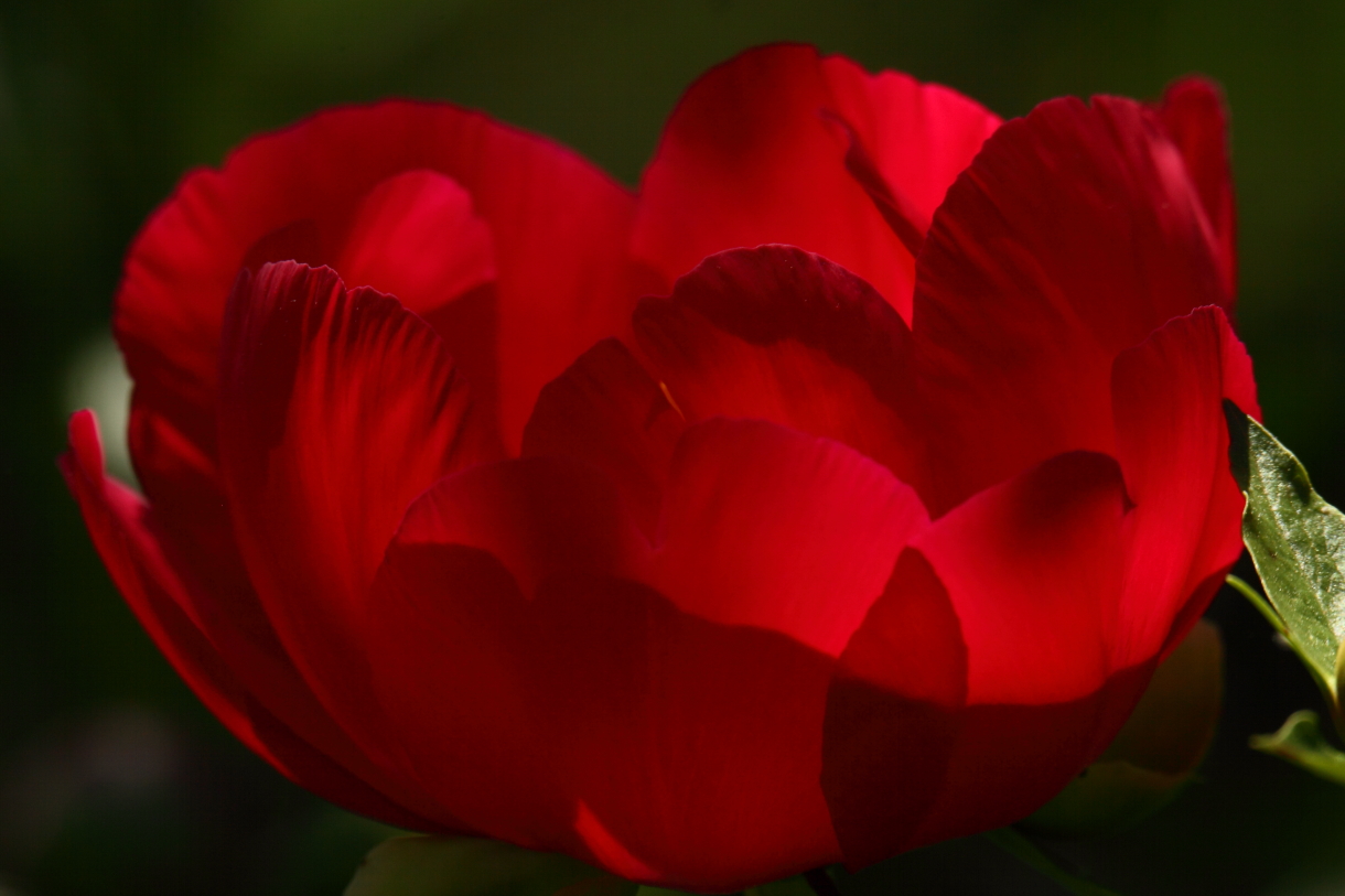 2014 05 29 HTP 56243