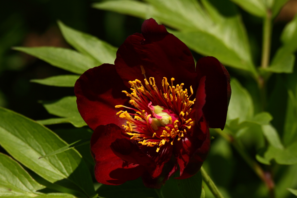 2014 05 29 HTP 56287
