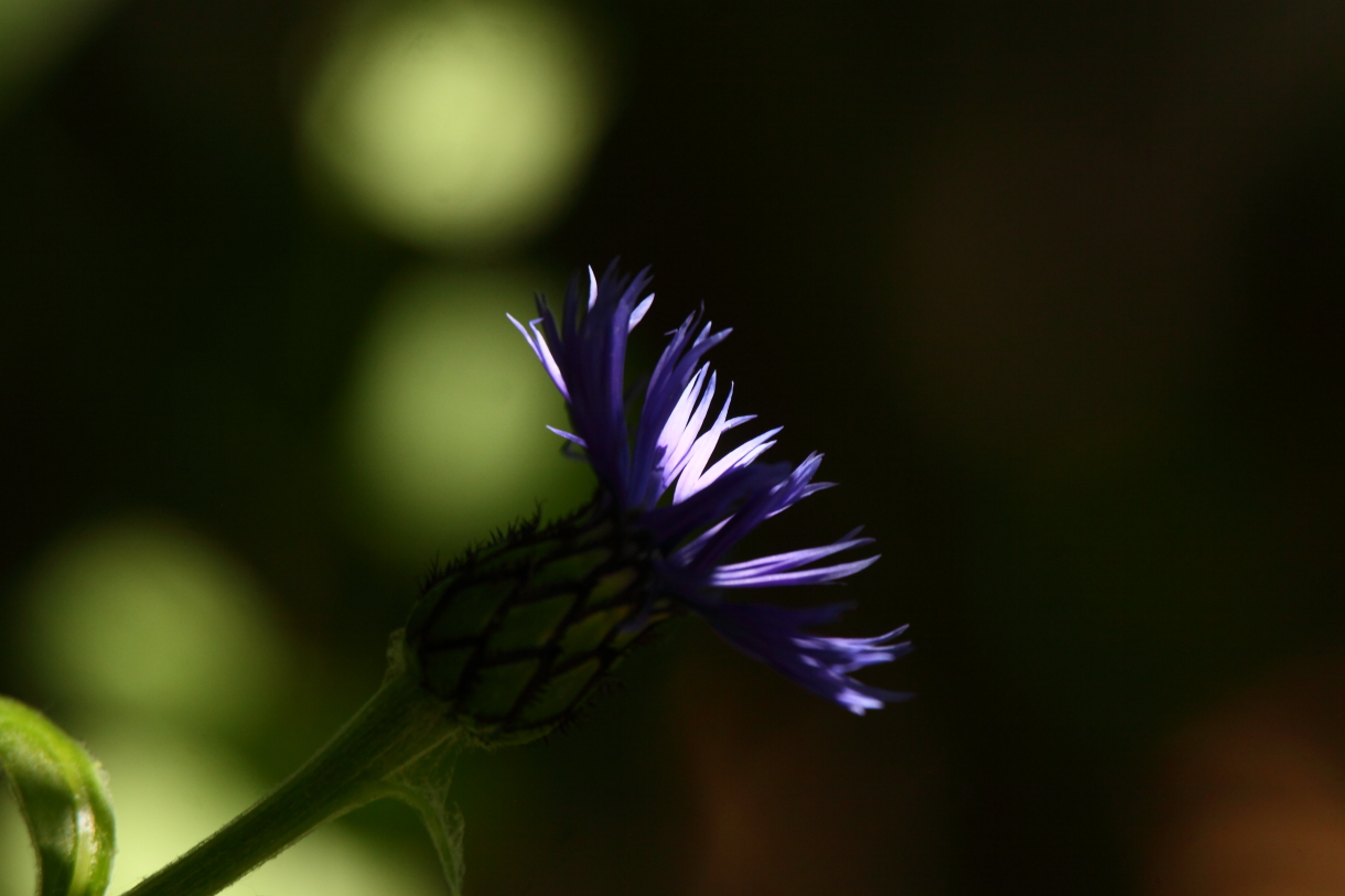 2014 05 29 HTP 56457